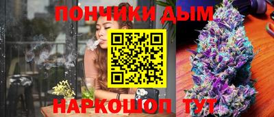 индика Нягань
