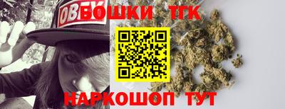 индика Нягань
