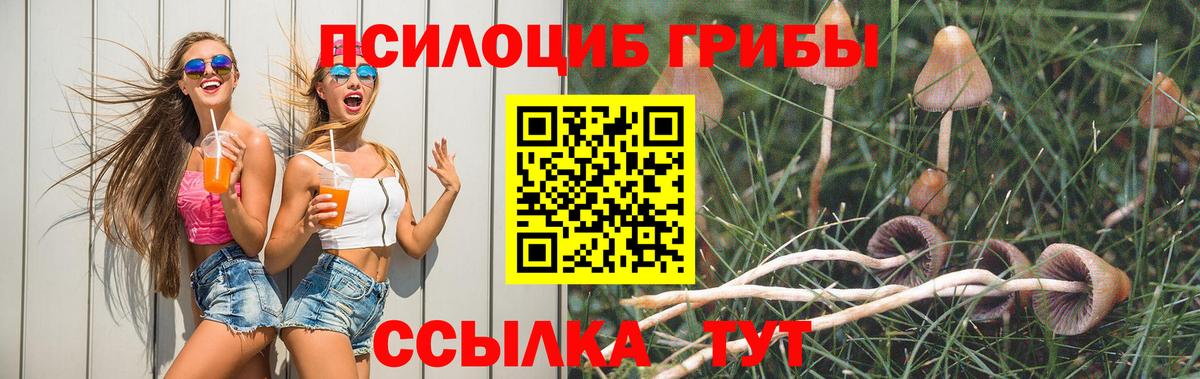 Сосновый Бор  Псилоцибиновые грибы MAGIC MUSHROOMS  Вход с VPN 